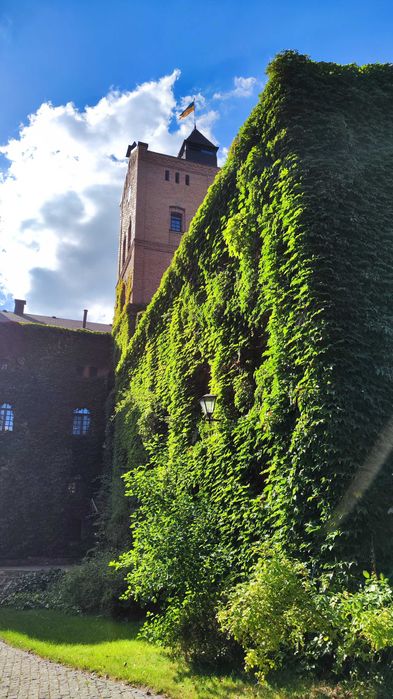 Смартфон Xiaomi 12 8/128GB Gray Snapdragon