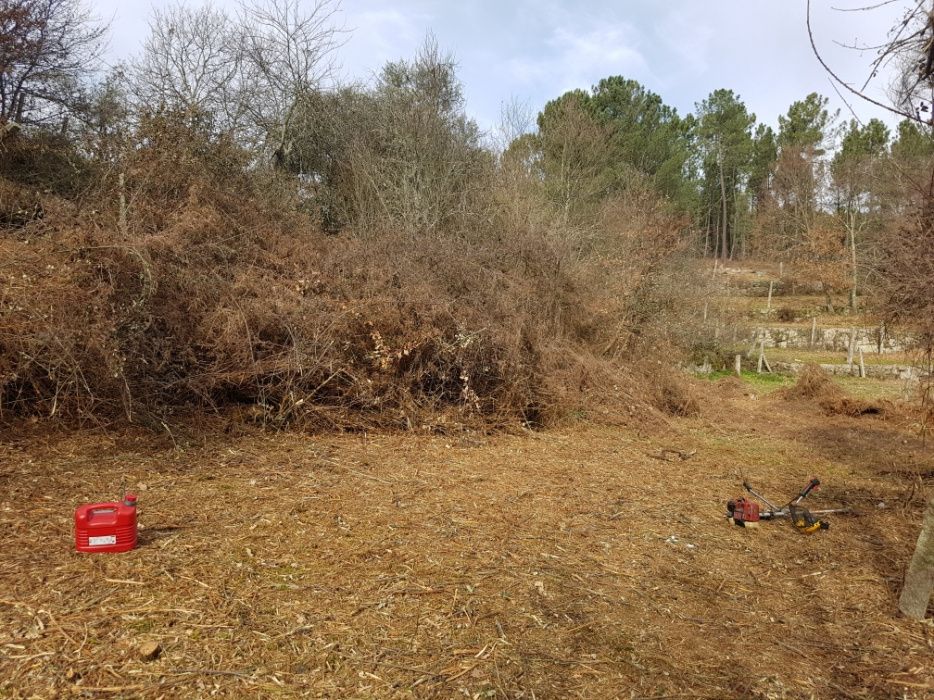 Limpeza de terrenos / matas