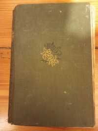 Edelweiss Konig - Ludwig Ganghofer, książka antyk z 1918r