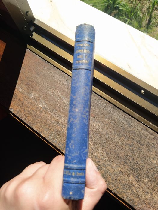 Antologia para a Juventude