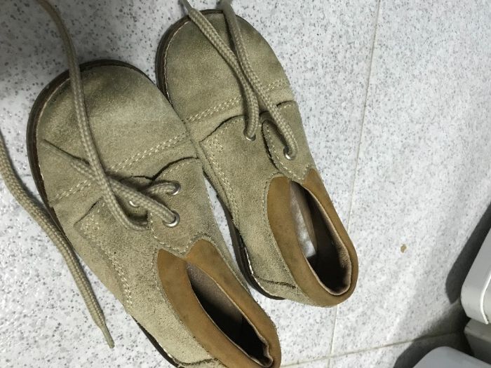 Carneiras tamanho 24