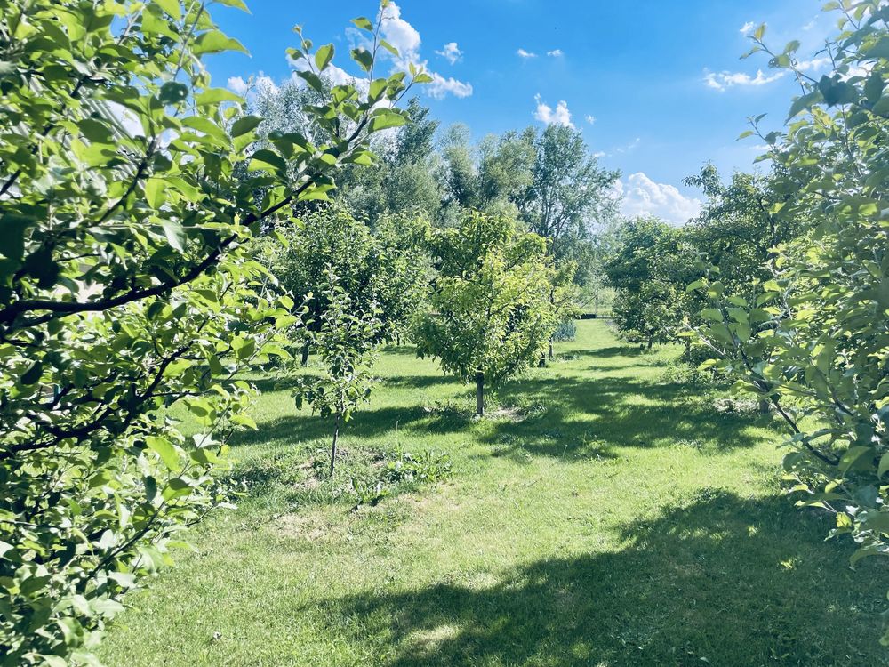 Продам земельну ділянку по вул. Набережна