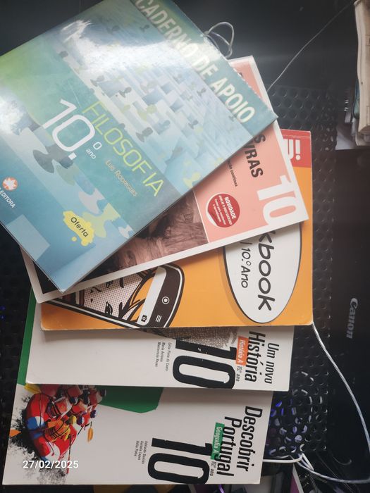 Cadernos atividades  10 ano