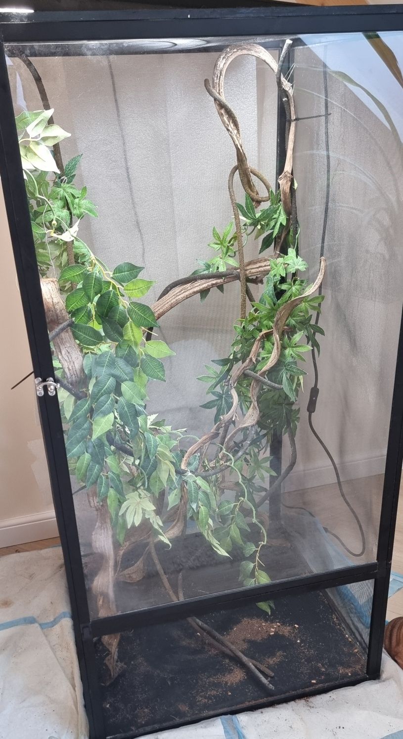 Terrarium dla kameleona