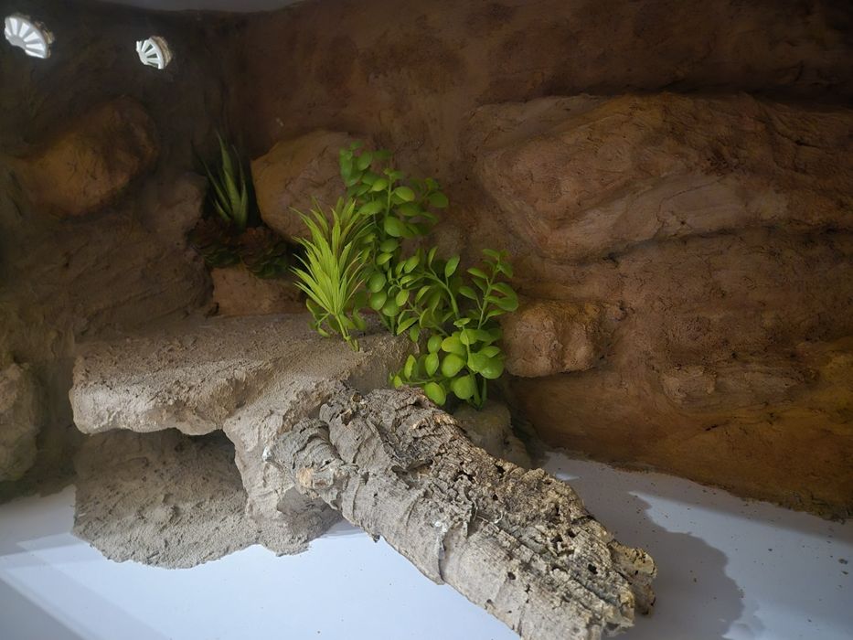 Nowe Gotowe Terrarium 80x40x40