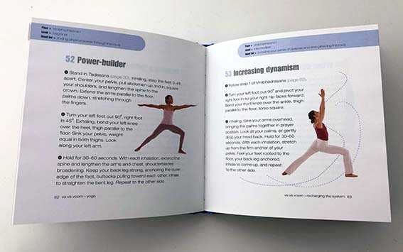 YOGA - Livro prático, portátil e completo para a prática de yoga.