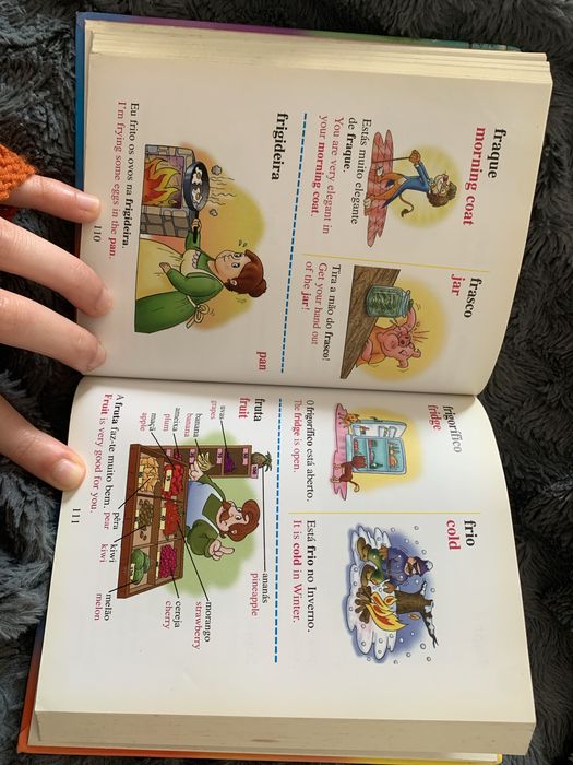 Dicionário português-inglês infantil ilustrado
