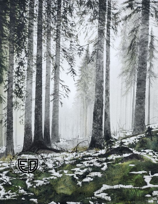 Las świerkowy 60x45cm przedwiośnie zima obraz akwarela