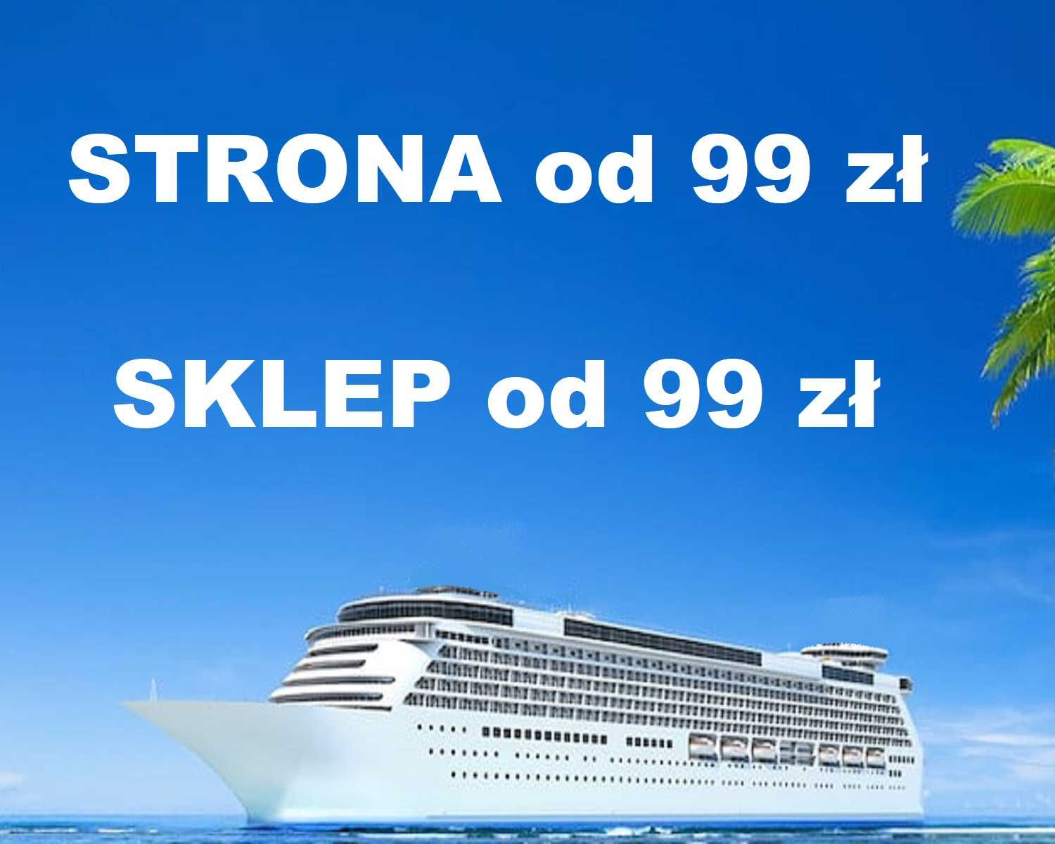 Tworzenie projektowanie stron internetowych skuteczna promocja w sieci