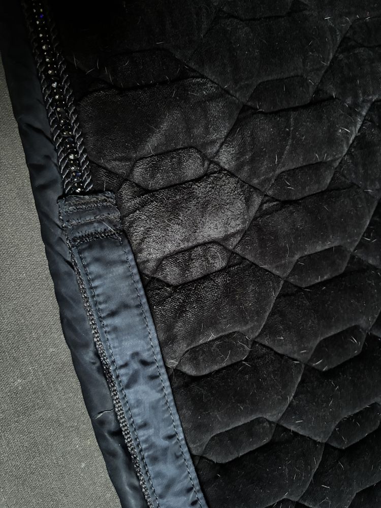 Eskadron Classic Sports Velvet Navy, granatowy 2021