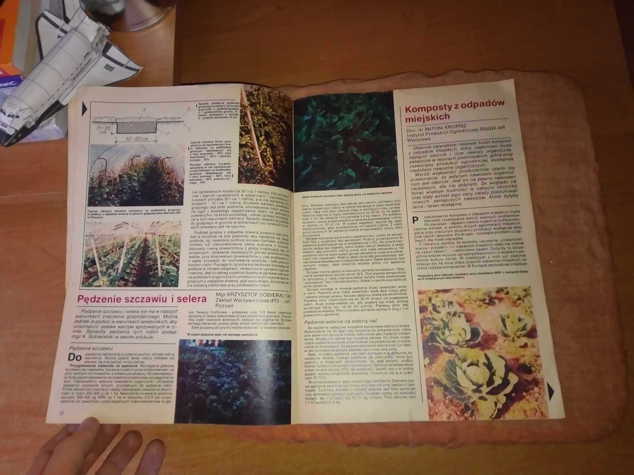 Owoce warzywa kwiaty dwutygodnik 1 1982 ogrodniczy gazeta czasopismo
