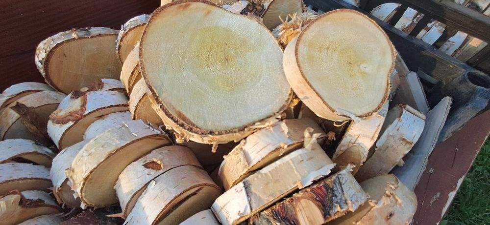 Drewnie Plastry brzozy Mix