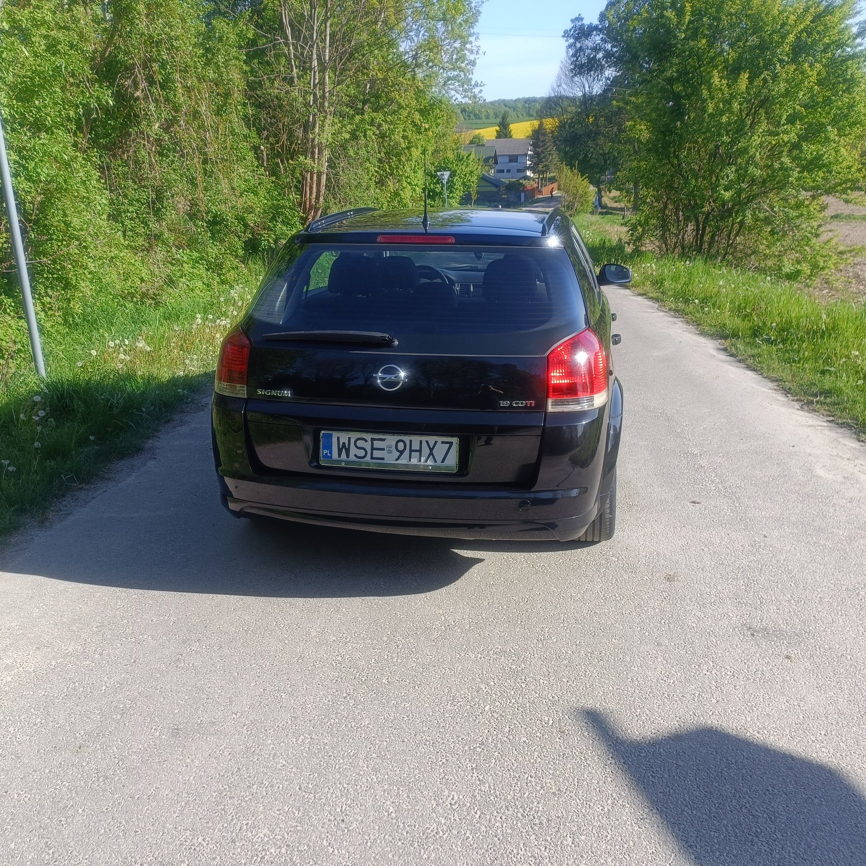 Opel Signum 1.9 CDTI, koła zimowe, nowa dwumasa, oryginalny przebieg,