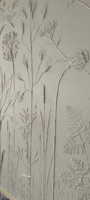 Барельєф Ботанічний барел'єф Ліпнина на стінах Розпис стін
