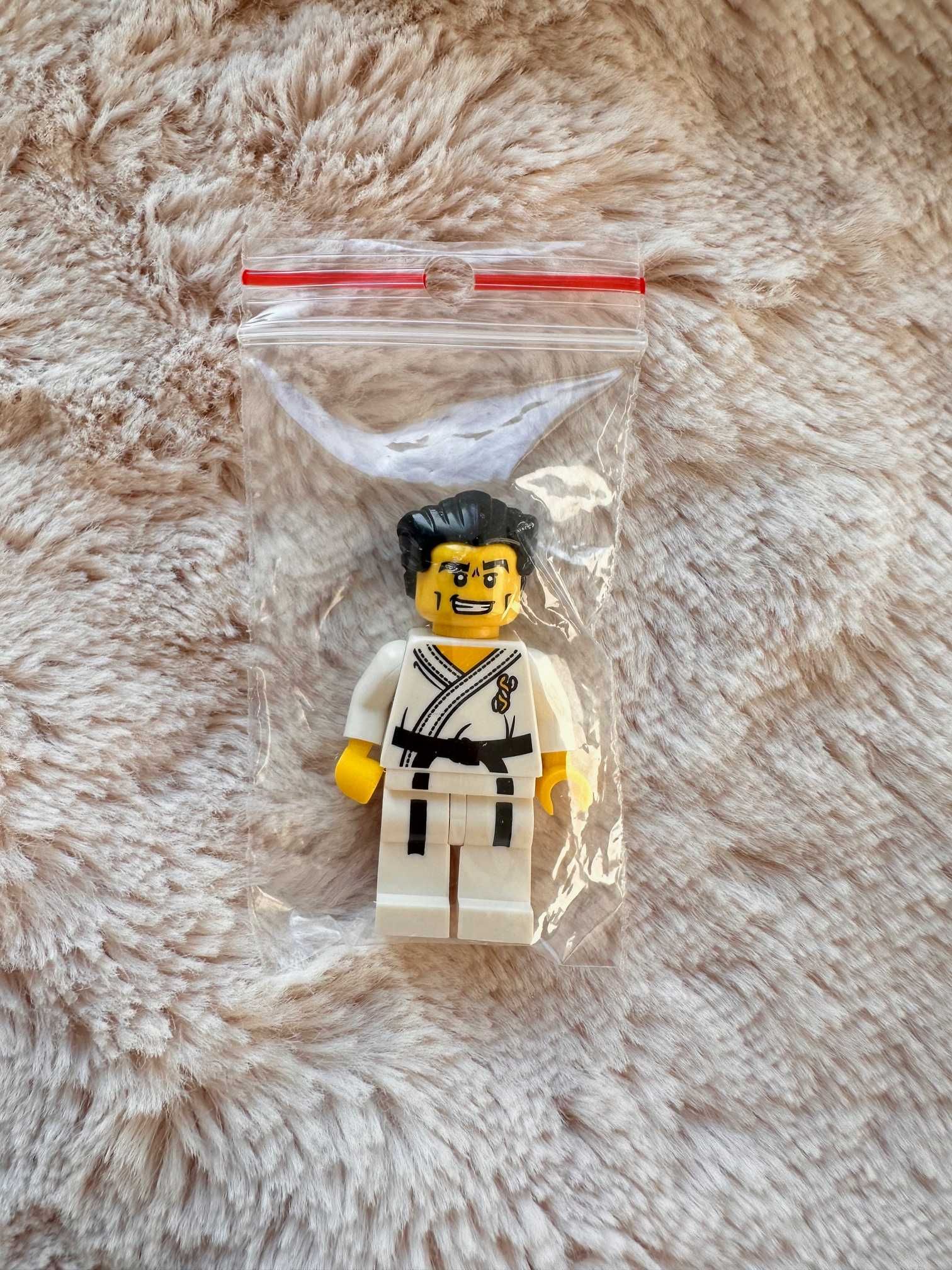LEGO Collectible Minifigures Series 2 - Karate Master (col030)