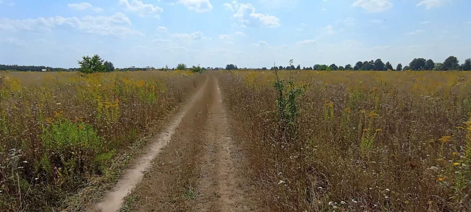 (8) Продається земельна ділянка в с. Якушинці 9890