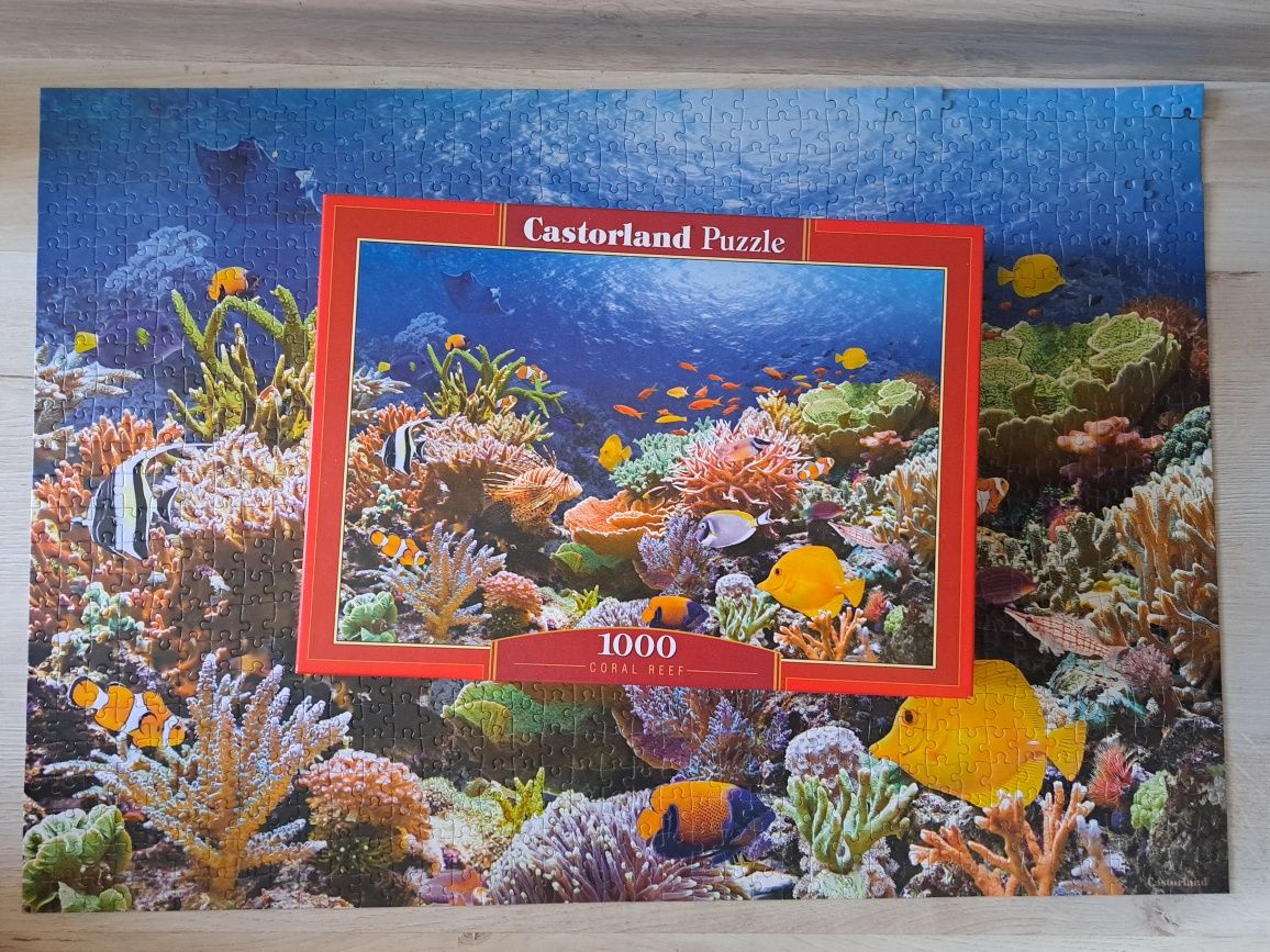 Puzzle castorland 1000