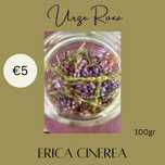 Chá de Urze Roxa