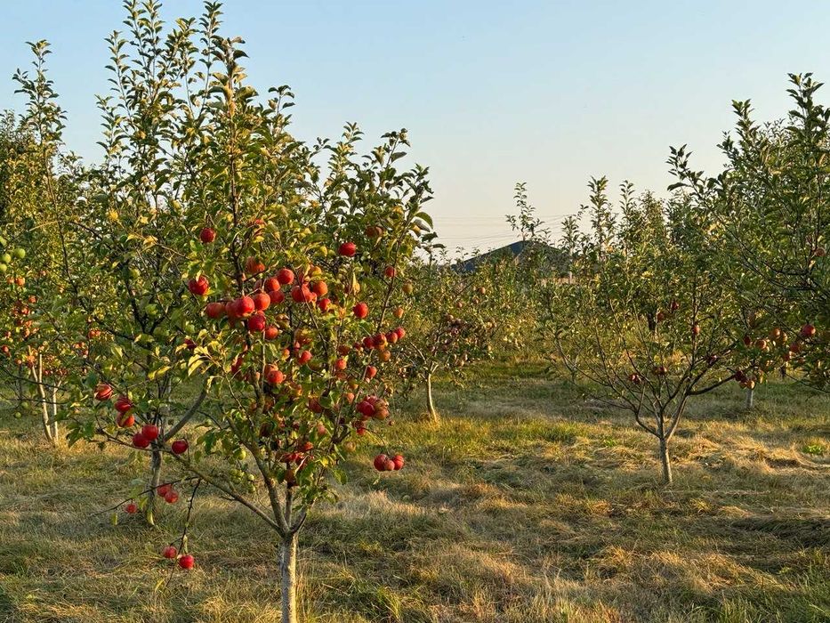 Будинок с. Котів 39500 $