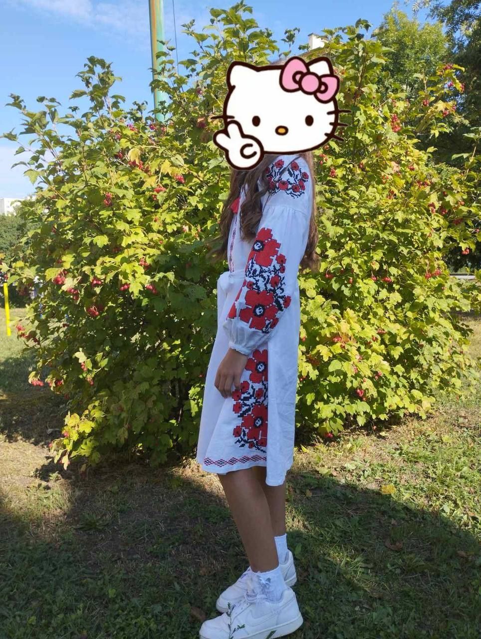 Плаття вишиванка