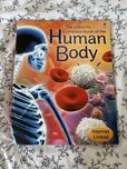 The Usborne Complete Book of the Human Body