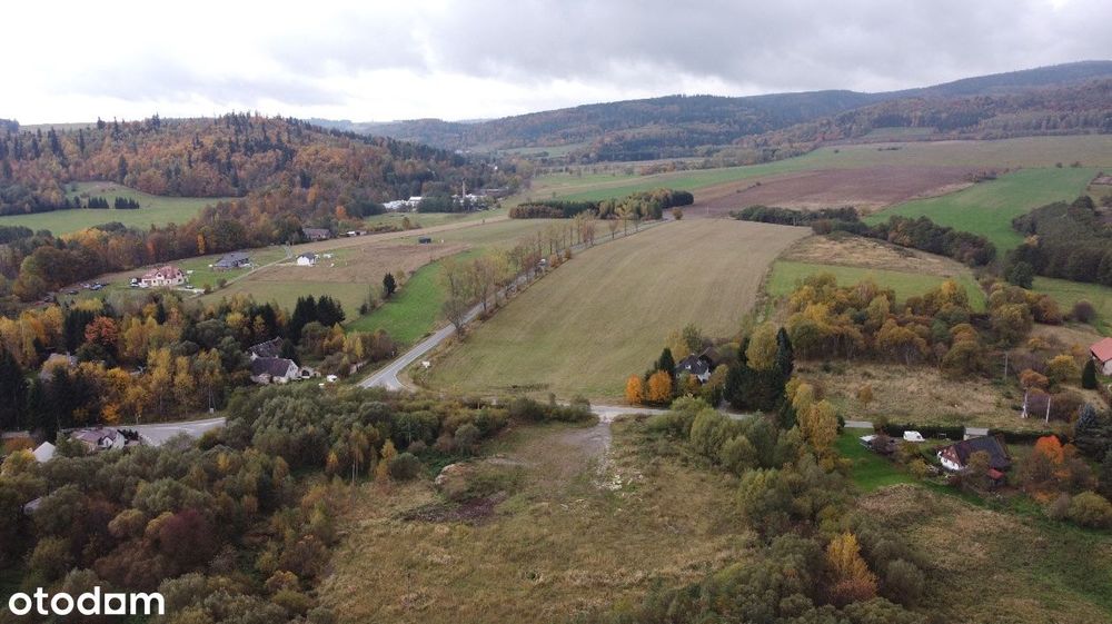 Działka w rejonie górskim blisko Śnieżnika