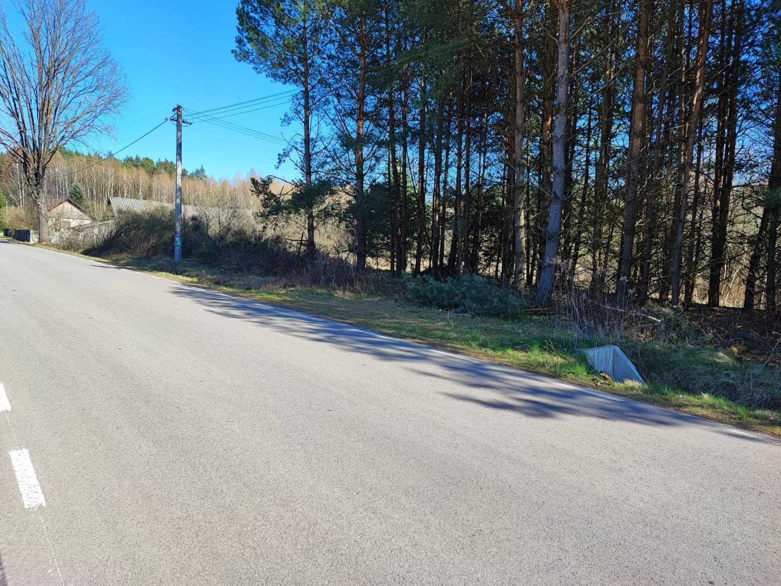 Działka o pow. 10ar, Ciechocin- okolice Modliborzyc