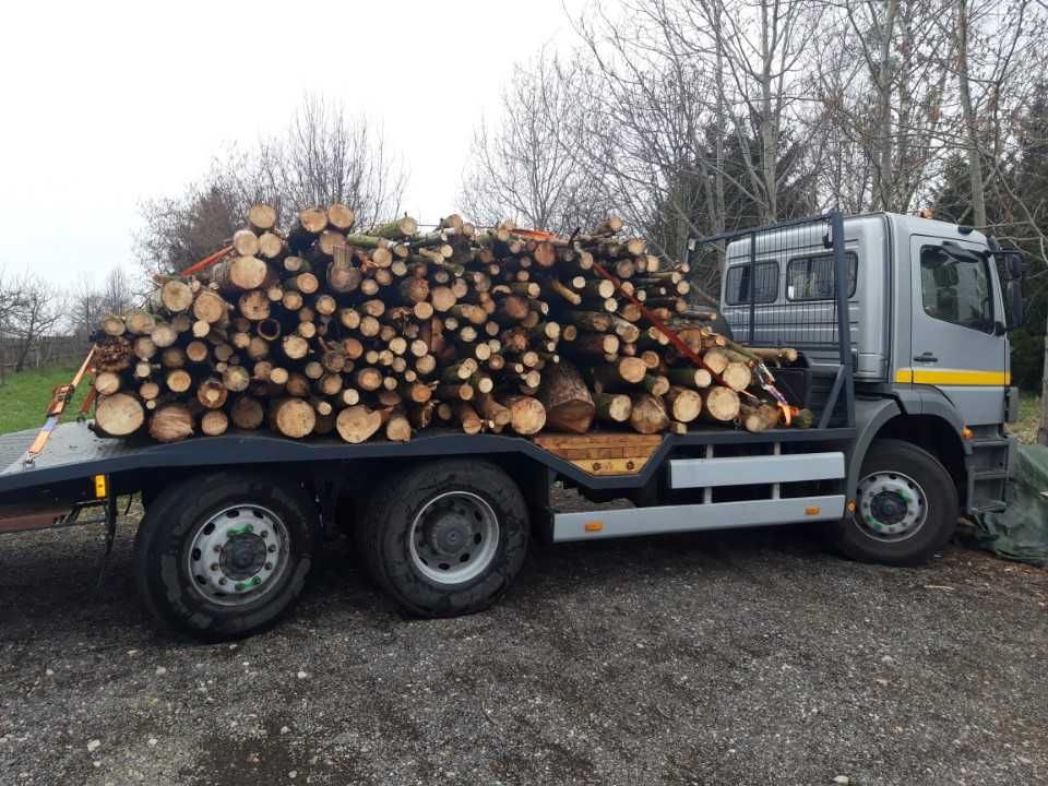 Transport maszyn budowlanych wózków usługi transportowe laweta