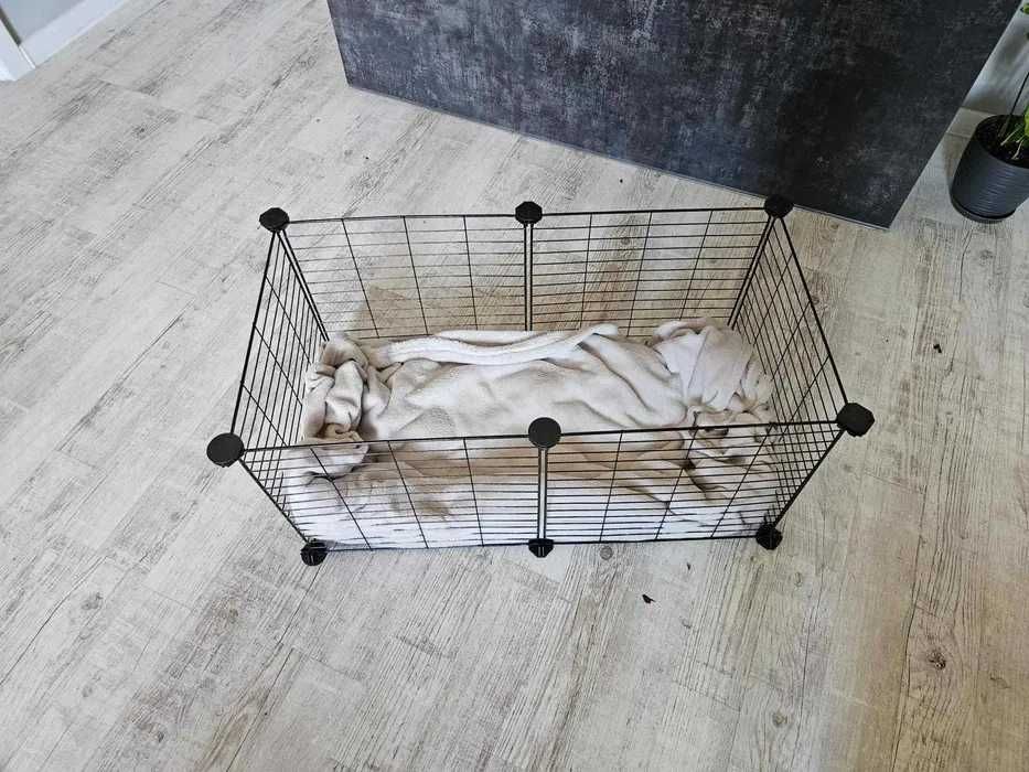 Klatka kojec wybieg dla świnki królika zwierząt modułowy