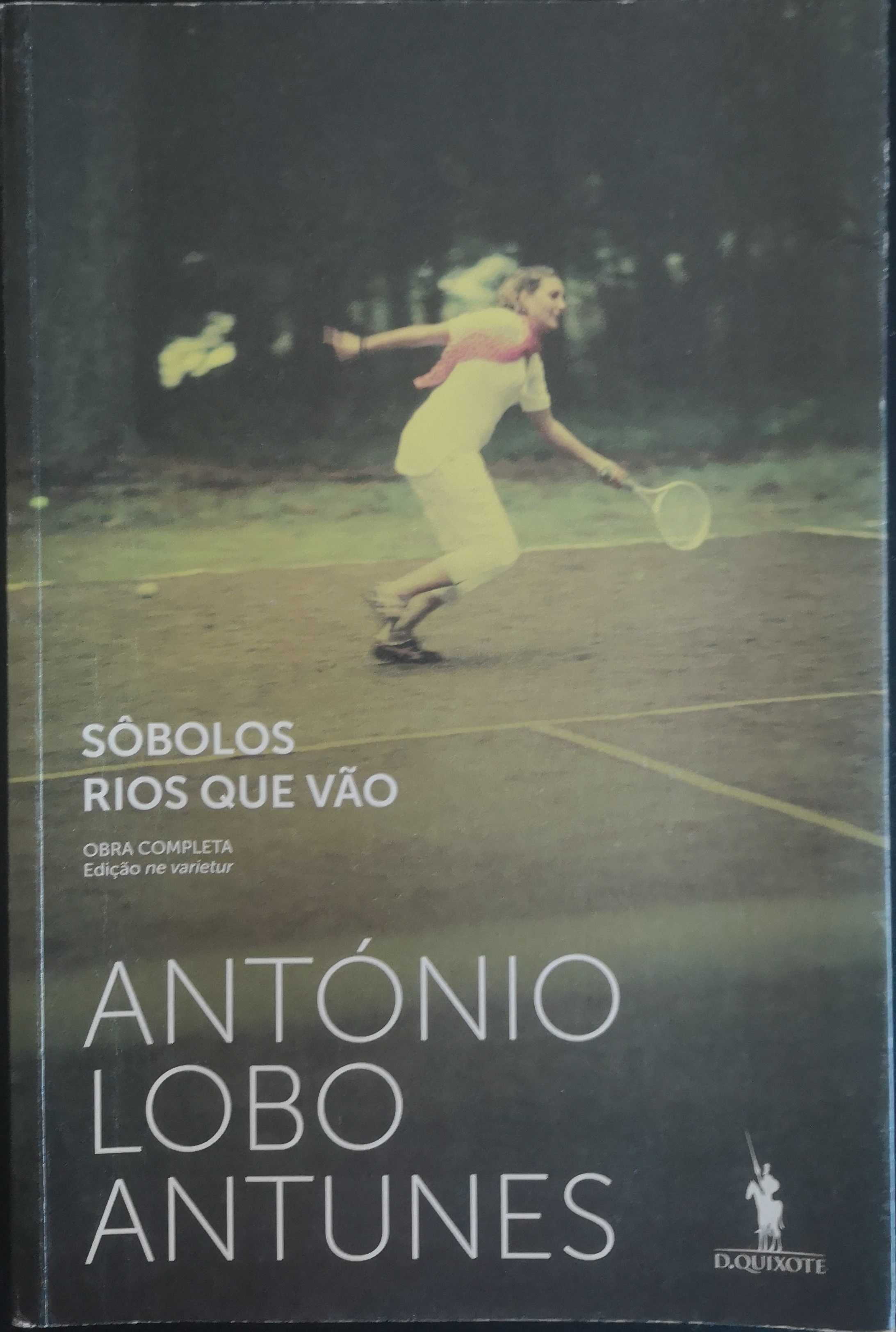 "Sôbolos Rios que Vão" de António Lobo Antunes