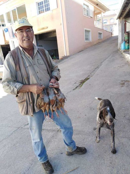 Caixas Transporte  pombos de vara com bebedouros individuais...