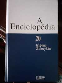 Enciclopédia Público (20 volumes)