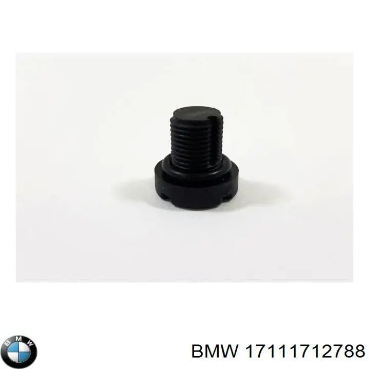 BMW клапан видалення повітря системи охолодження(17111712788)