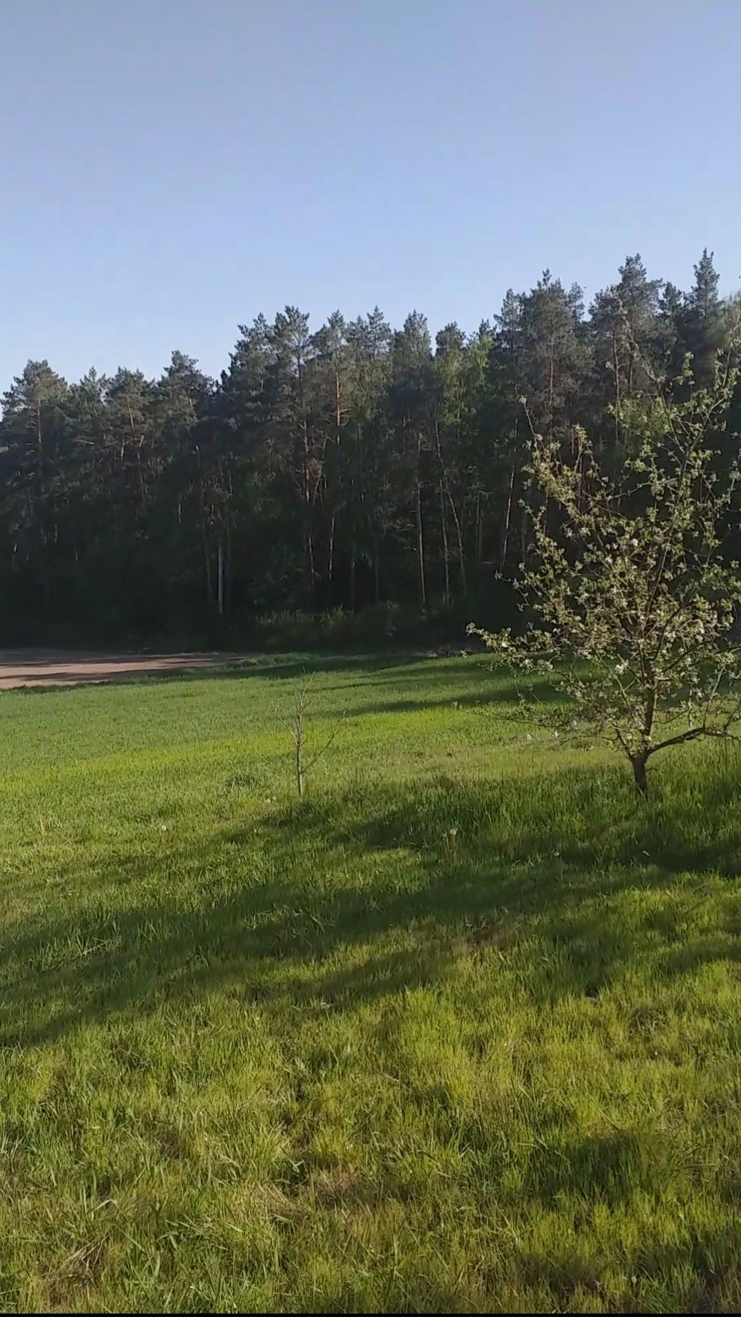 Продаж земельної ділянки в с Бохоники