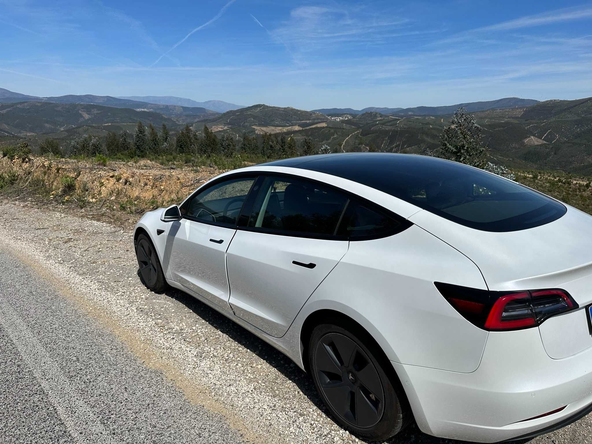 RESERVADO Tesla Model 3 Standard Range Plus – 325cv motor Performance