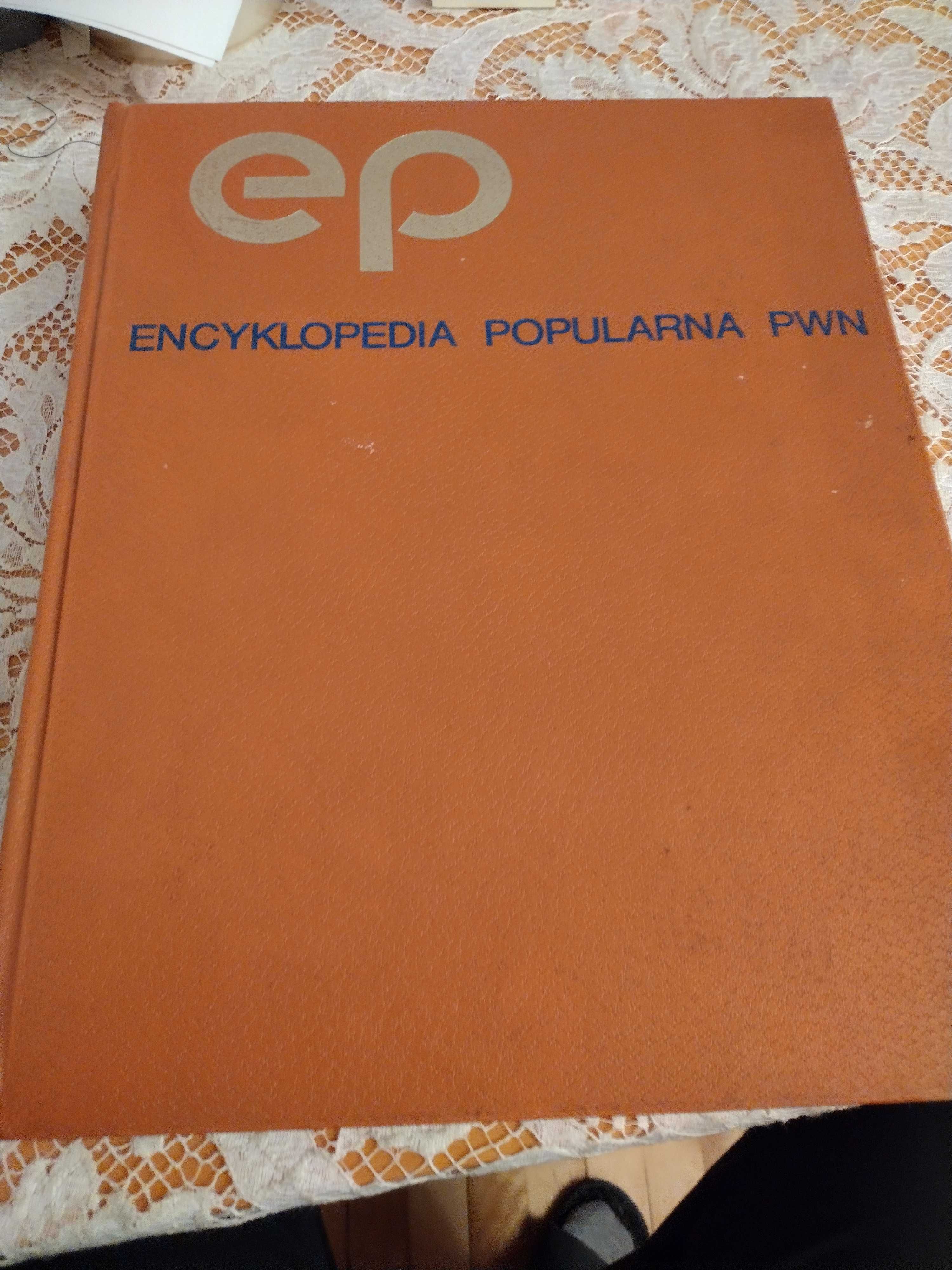 "Encyklopedia popularna PWN"