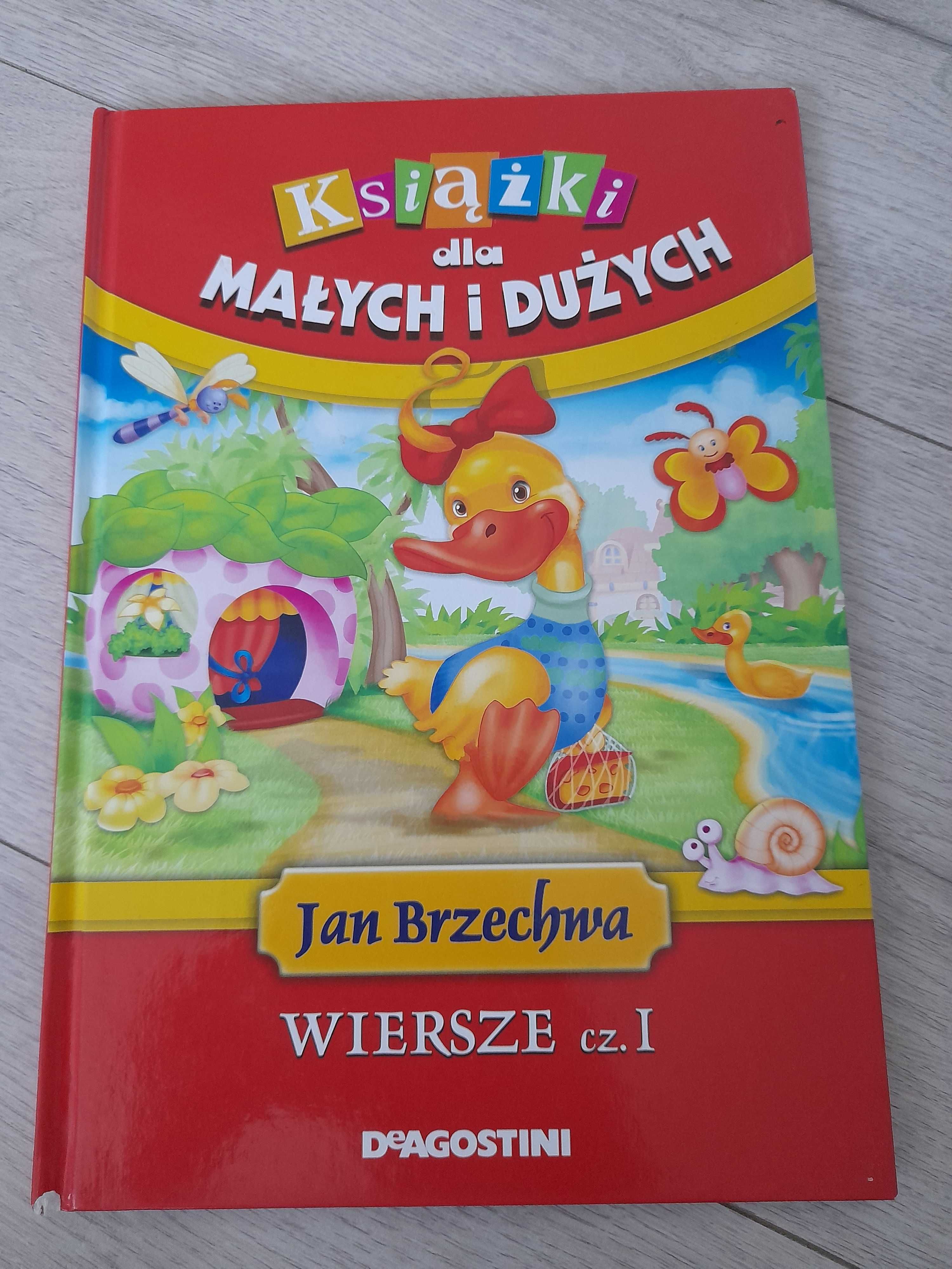 Zestaw książeczek 9szt