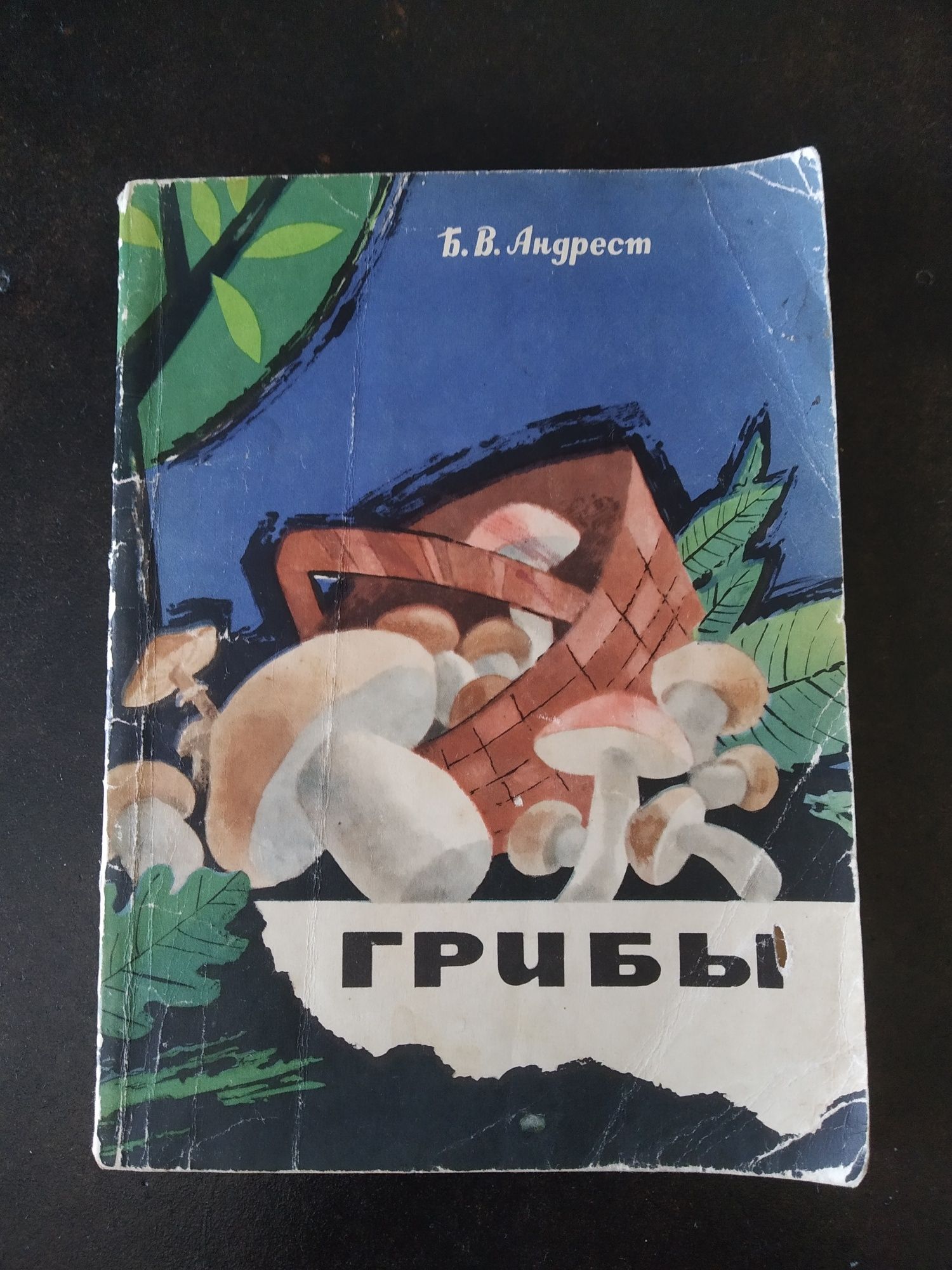 Книга грибы с цветными рисунками 1968 г.