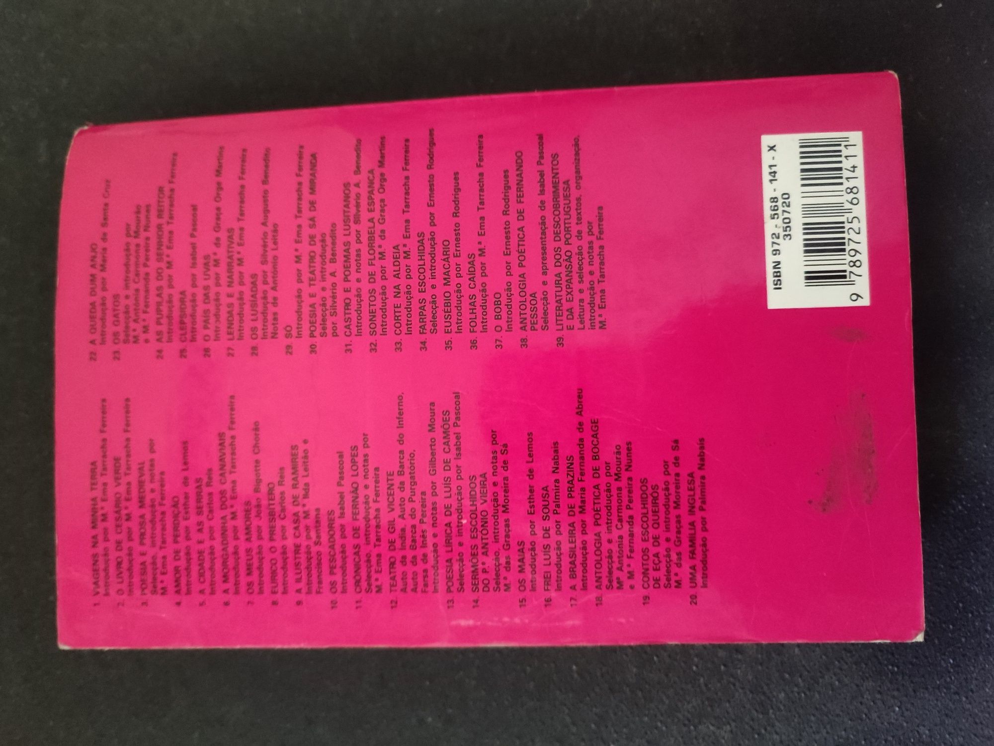 Livro: Uma família inglesa de Júlio Dinis
