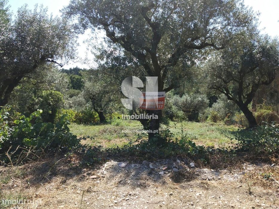 Terreno c/ viabilidade construção