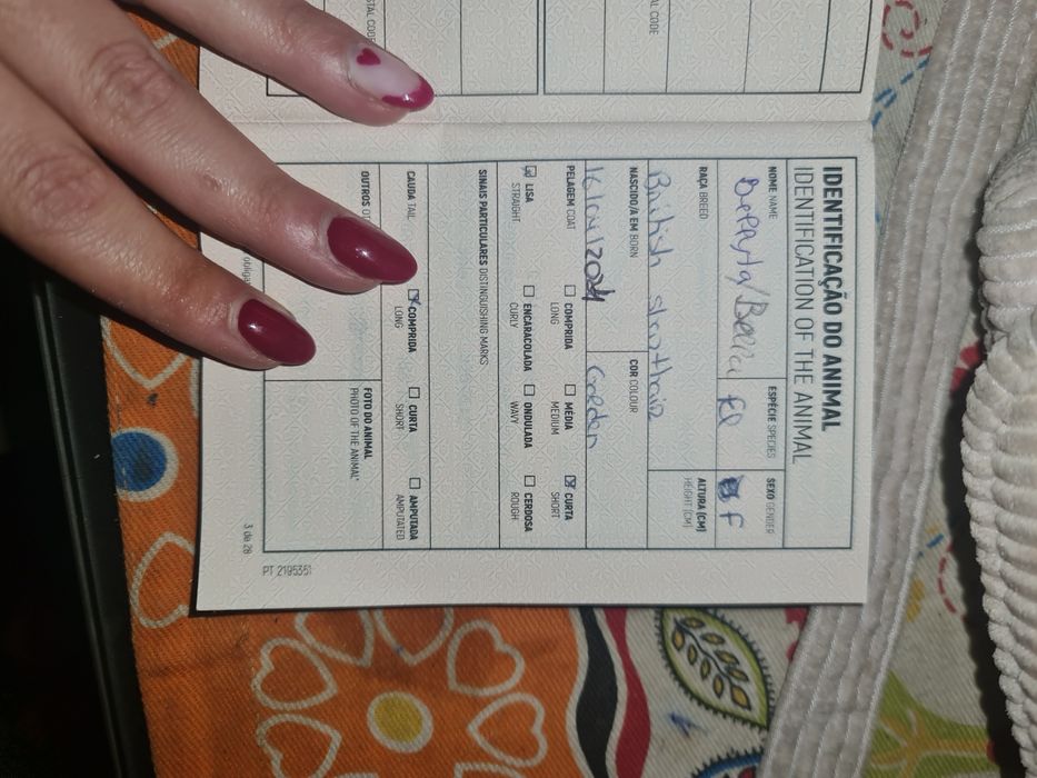 Memina linda com livrete