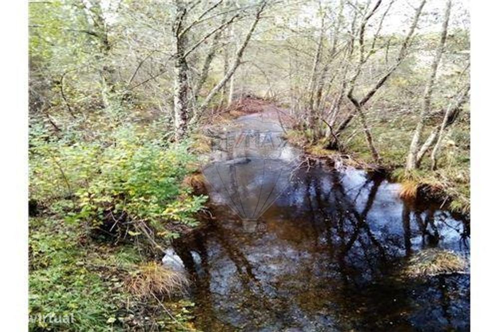 Quinta T0 para venda