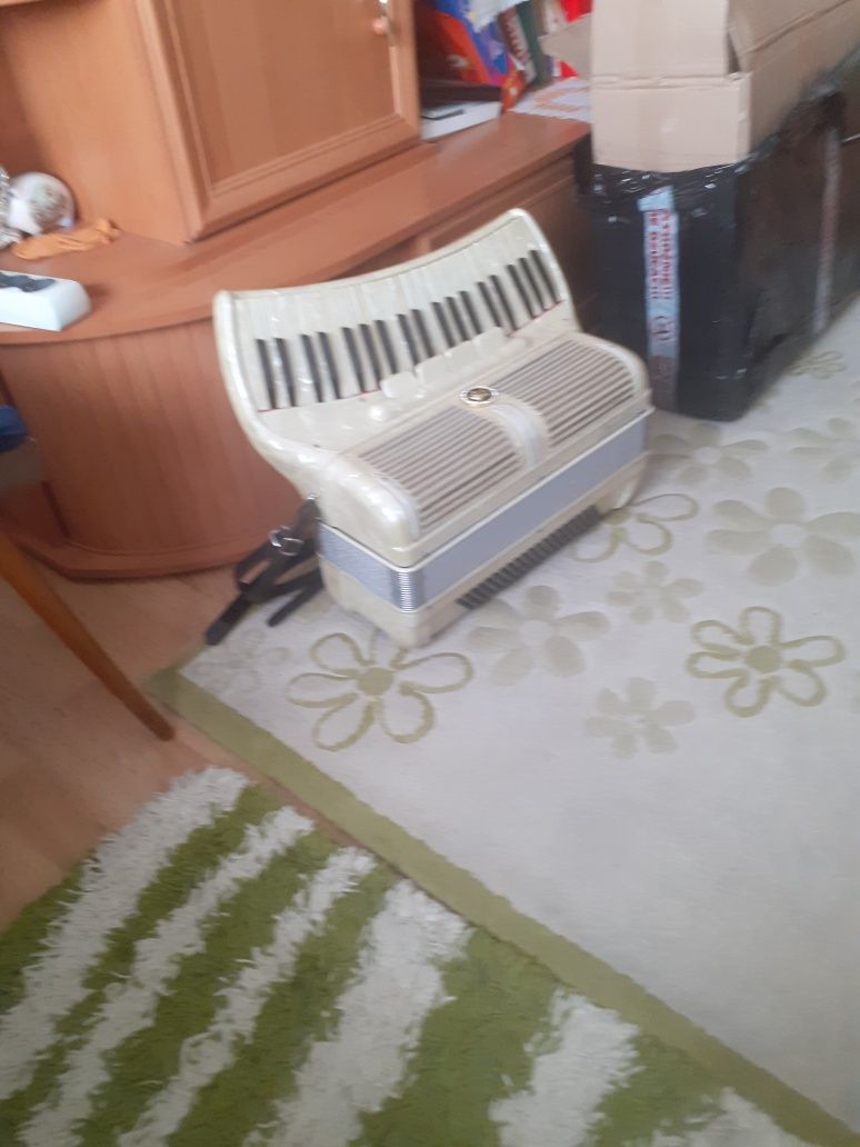 Akordeon włoski Scandali