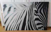 Duży Obraz Zebra IKEA PJATTERYD 78x118 cm