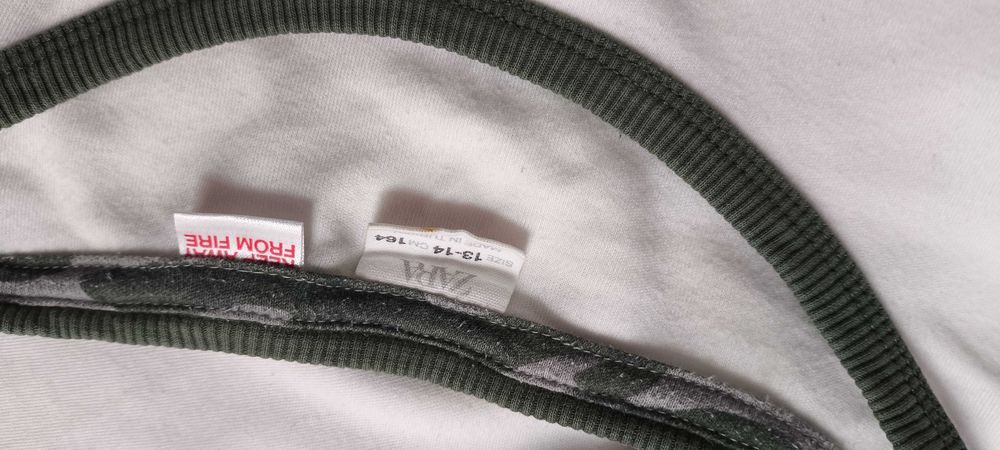 Piżama Zara r 164 dinozaur t-rex