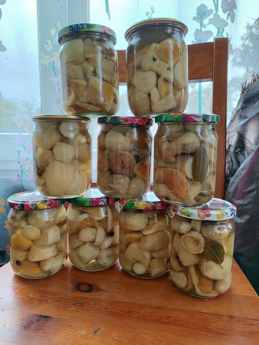 Мариновані гриби Білі Сухі гриби Грибний порошок