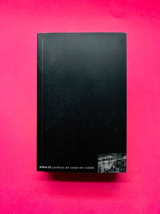 Pedras 13 | práticas de corpo em cidade