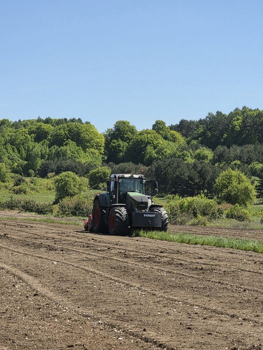 Mulczowanie,Wycinka drzew,Mulczer Leśny i Wgłębny,Karczowanie