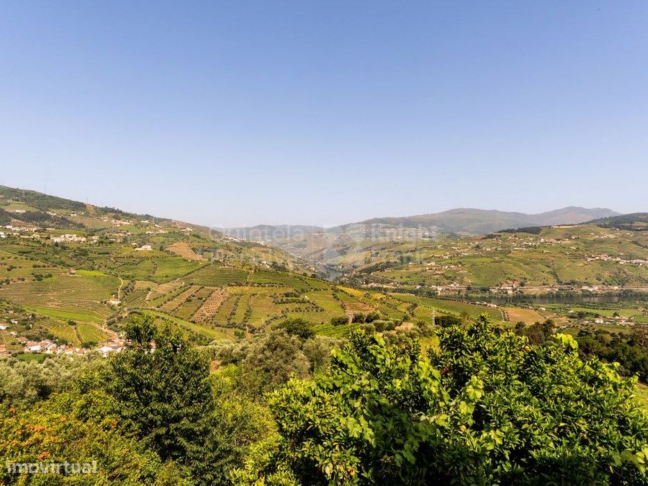 Quinta Histórica com Vinha no Alto Douro Vinhateiro