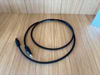 Cabo USB Shunyata Research Theta 1.5m